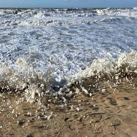 Lägenhet By Sea With Marina Views *