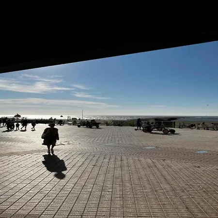Apartment By Sea With Marina Views